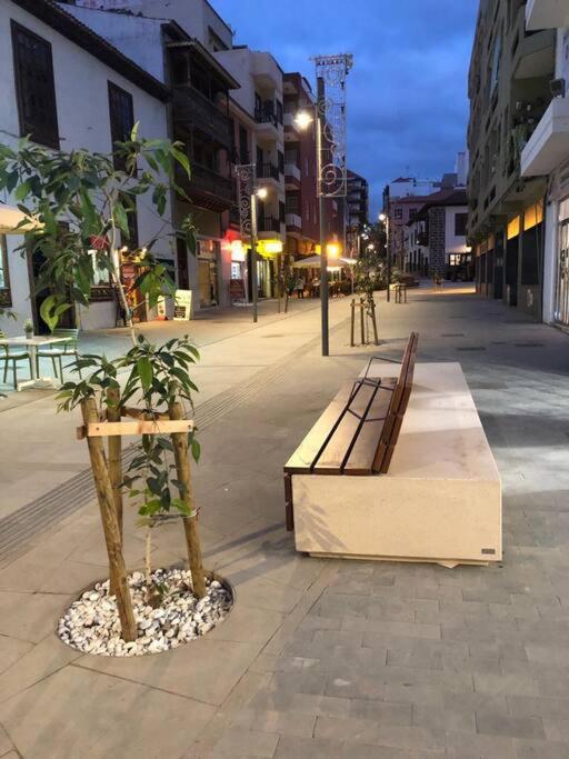 Estudio Con Amplia Terraza En Puerto De La Cruz Exterior foto